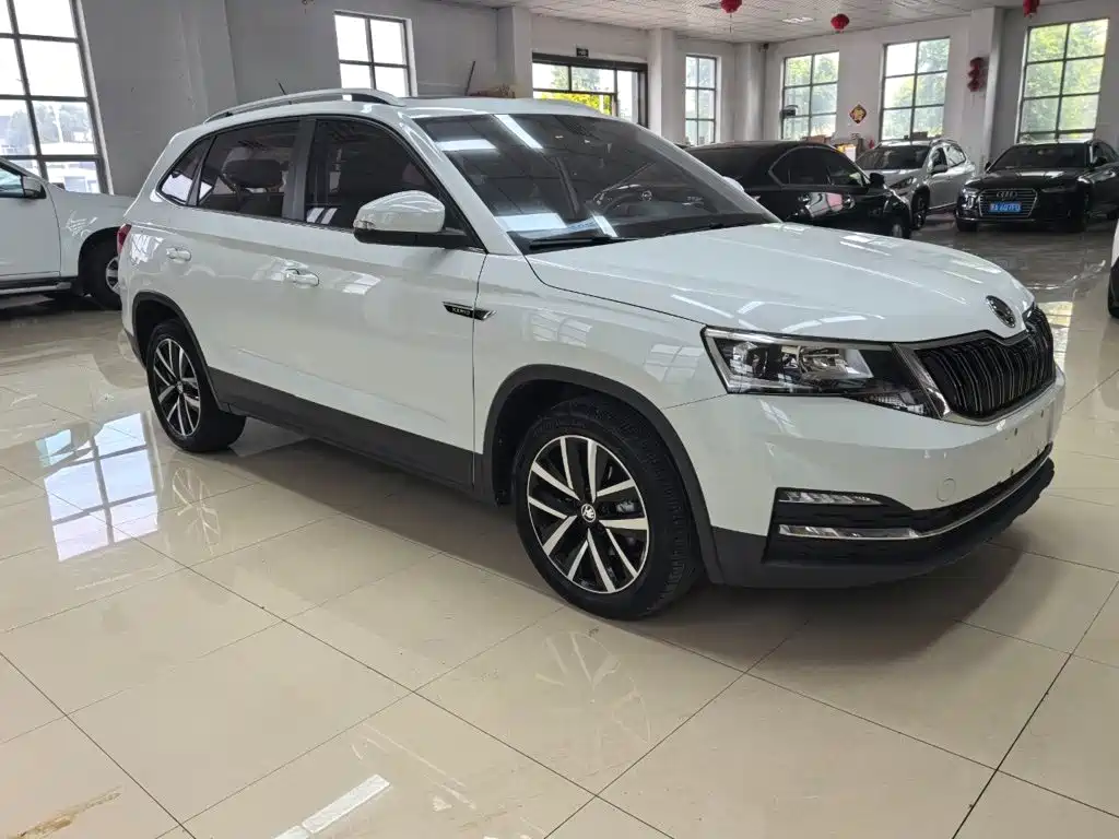 Skoda Kamiq — фото 3