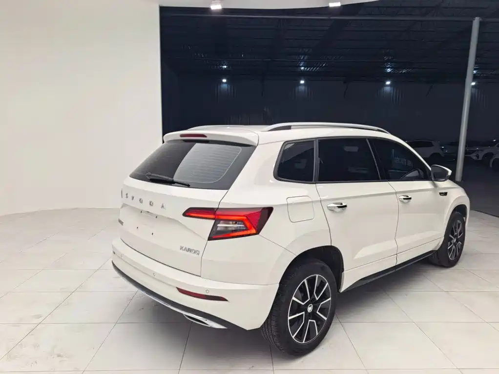 Skoda Karoq — фото 3