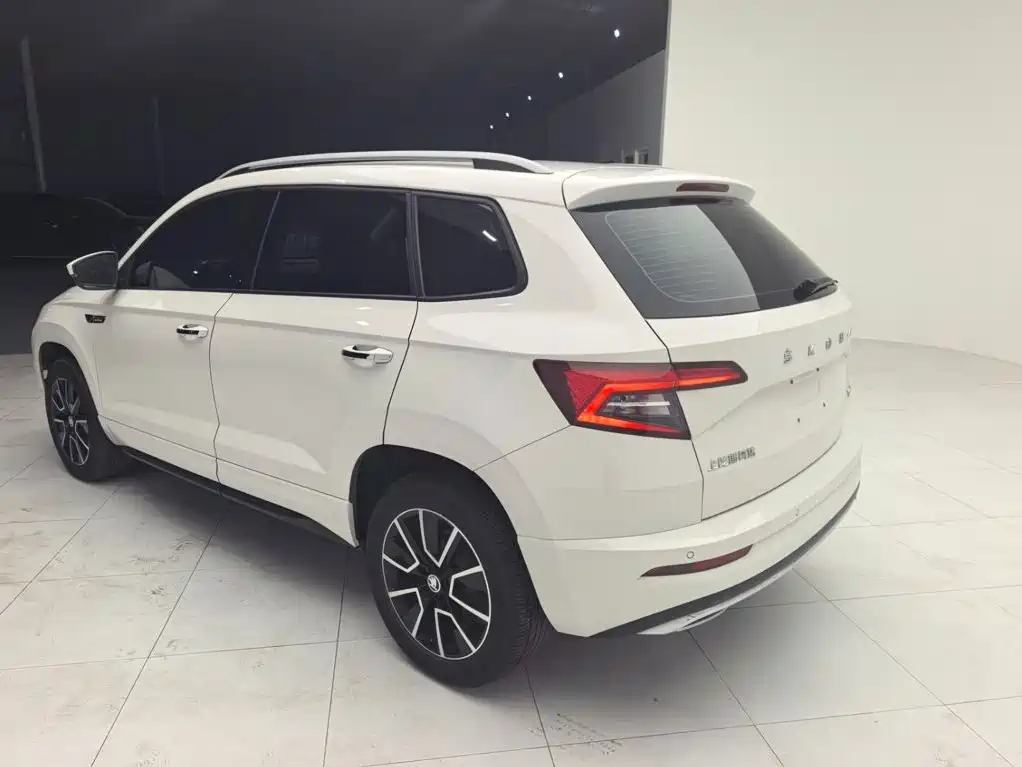 Skoda Karoq — фото 5