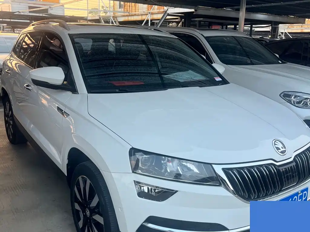 Skoda Karoq — фото 3
