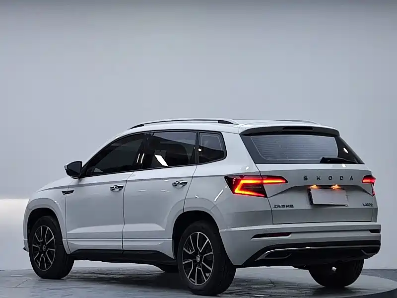 Skoda Karoq — фото 5
