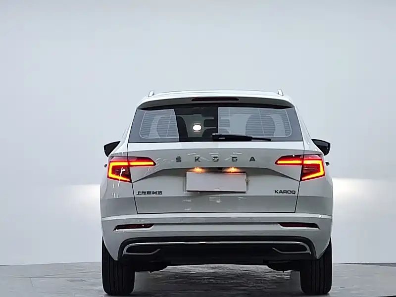 Skoda Karoq — фото 6