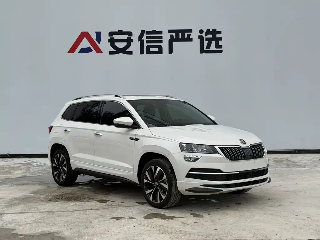 Skoda Karoq — фото 3