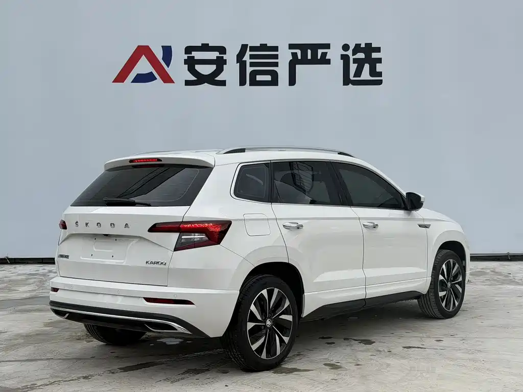 Skoda Karoq — фото 6