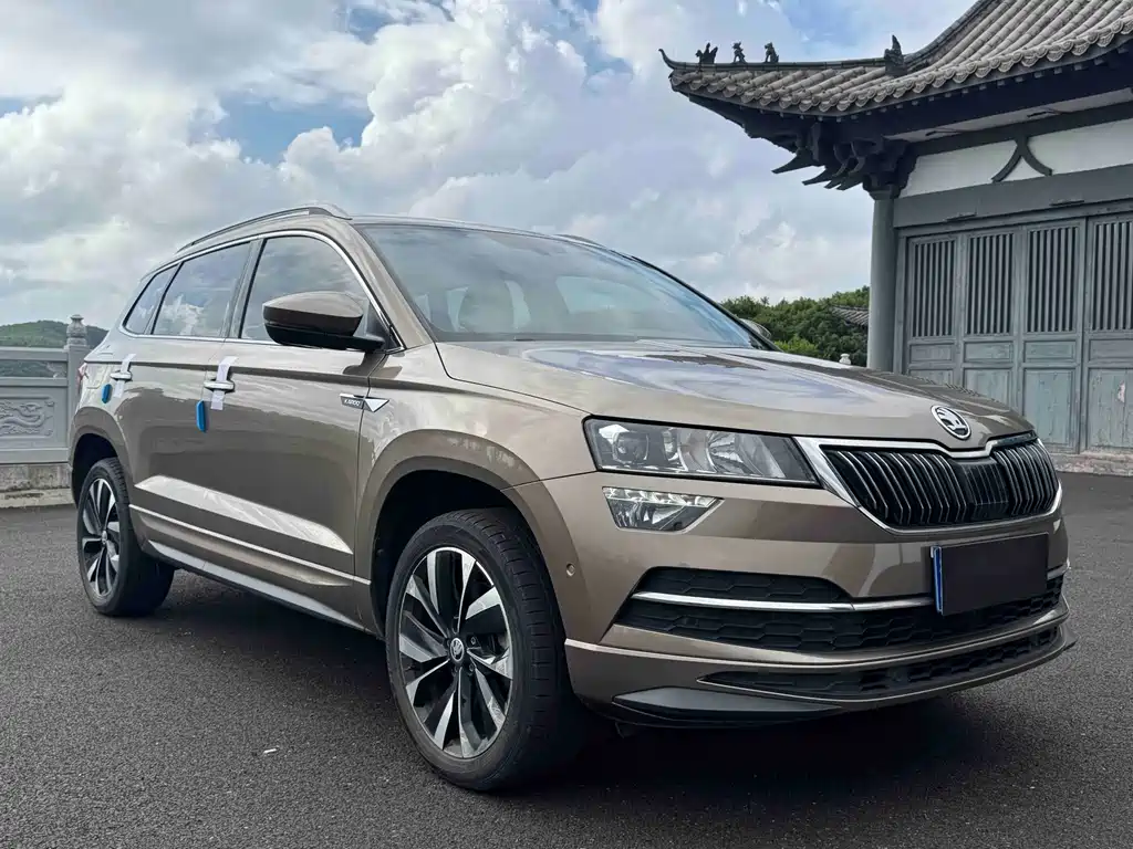 Skoda Karoq — фото 3