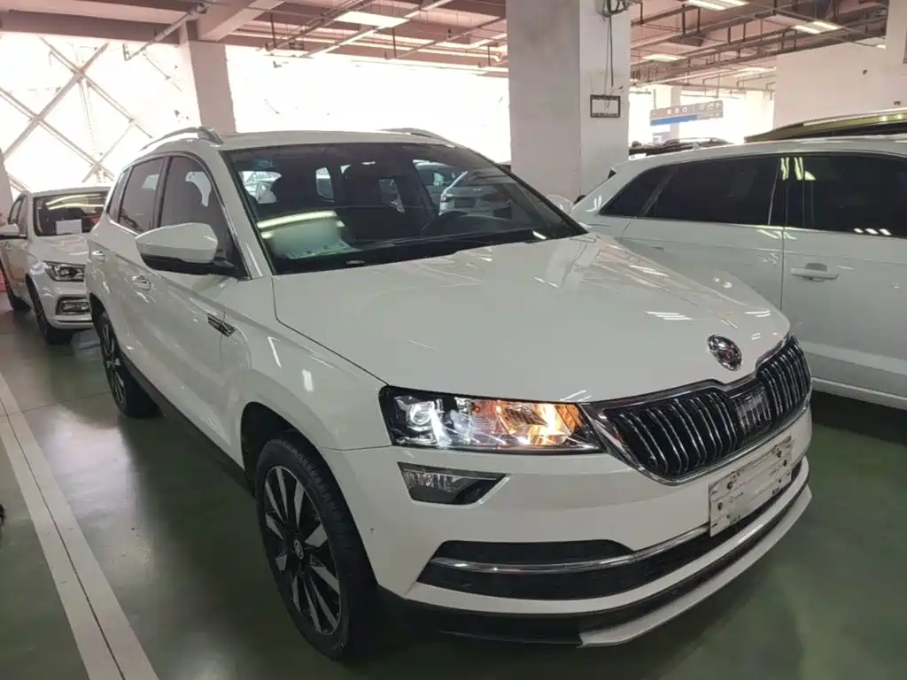 Skoda Karoq — фото 4