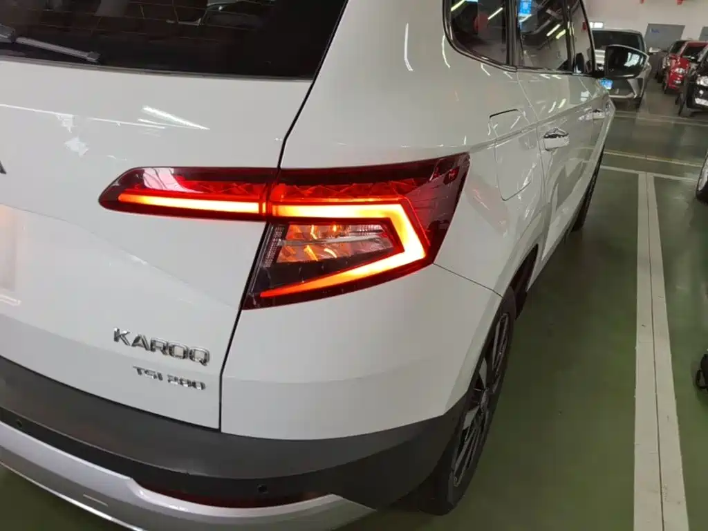 Skoda Karoq — фото 8