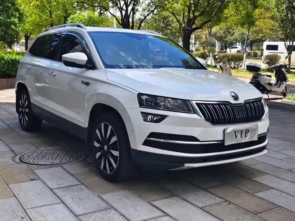 Skoda Karoq — фото 3