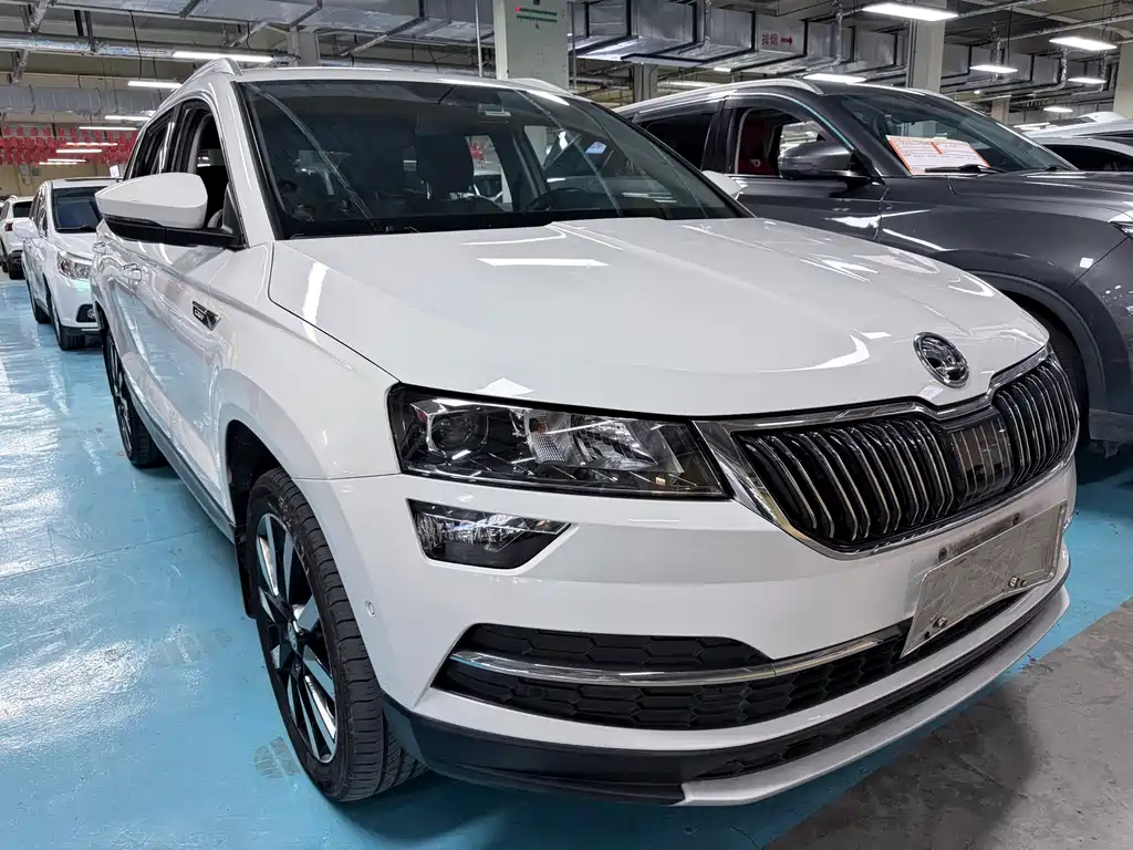 Skoda Karoq — фото 3