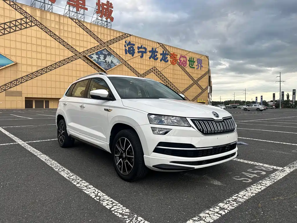 Skoda Karoq — фото 2