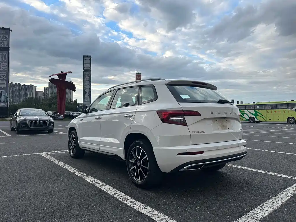Skoda Karoq — фото 8
