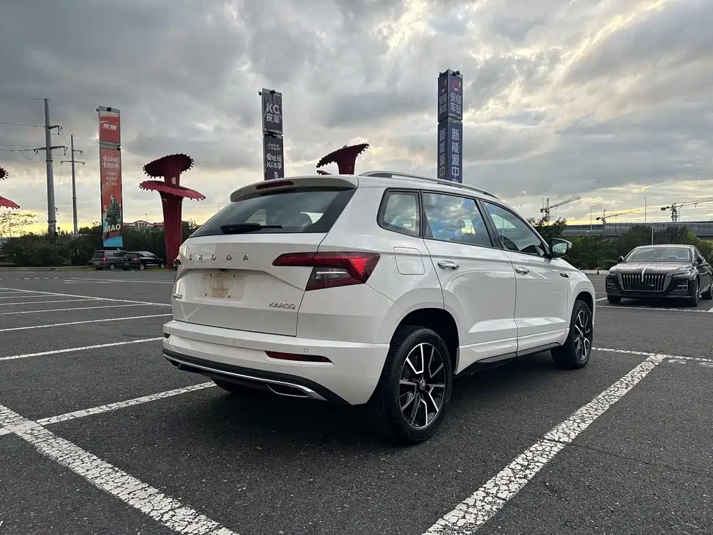 Skoda Karoq — фото 9