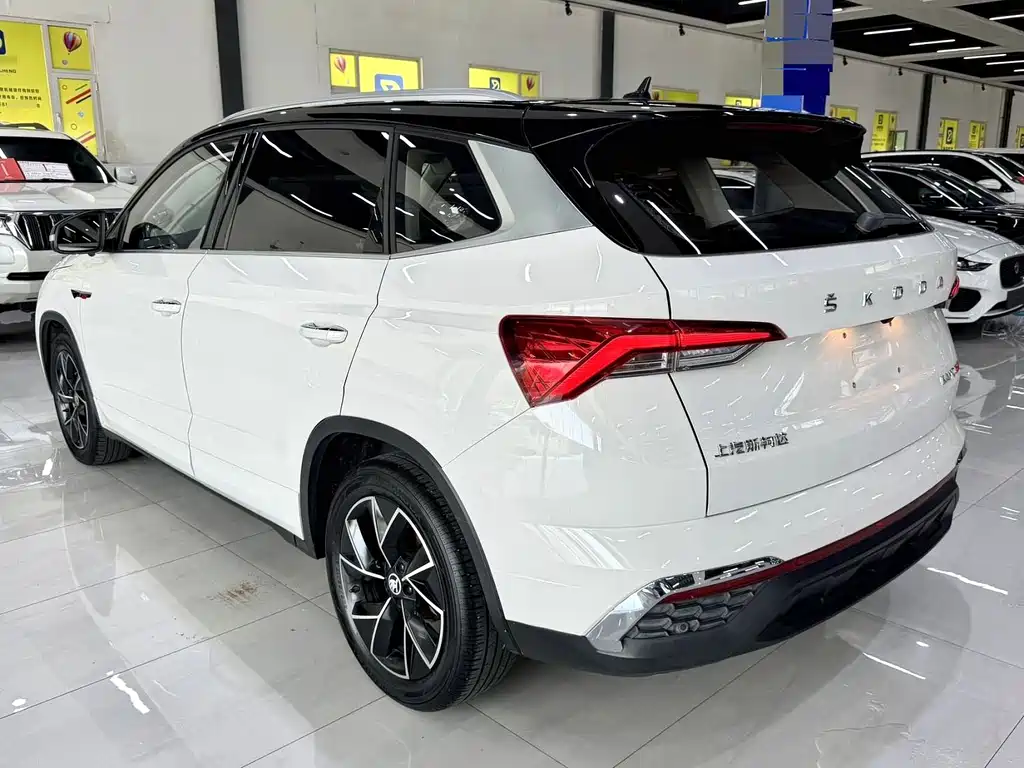Skoda Kamiq — фото 10