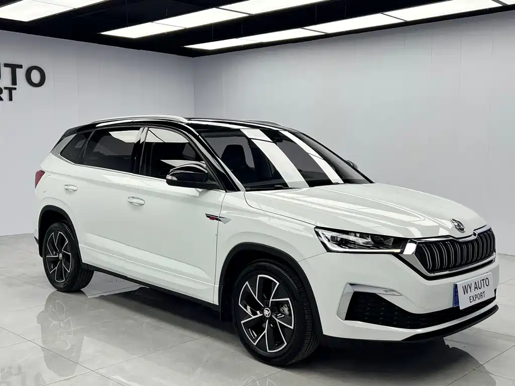 Skoda Kamiq — фото 3