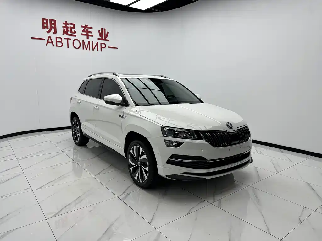 Skoda Karoq — фото 3