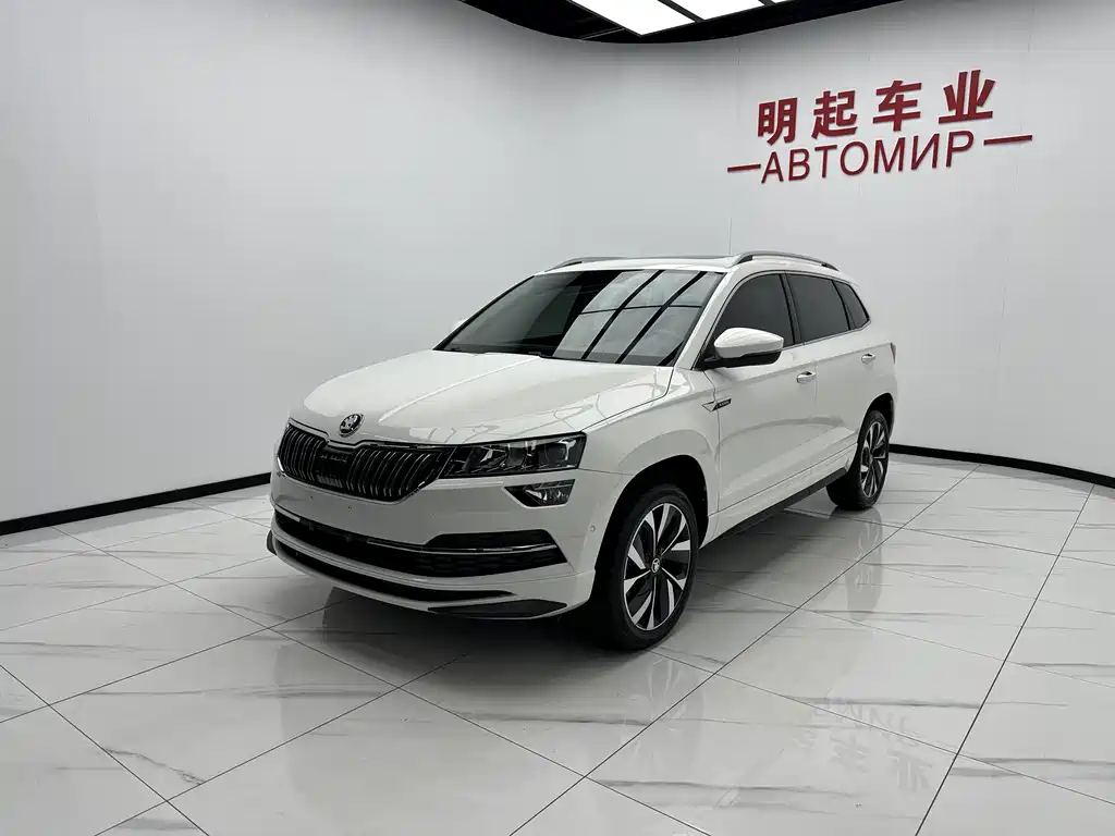 Skoda Karoq — фото 4