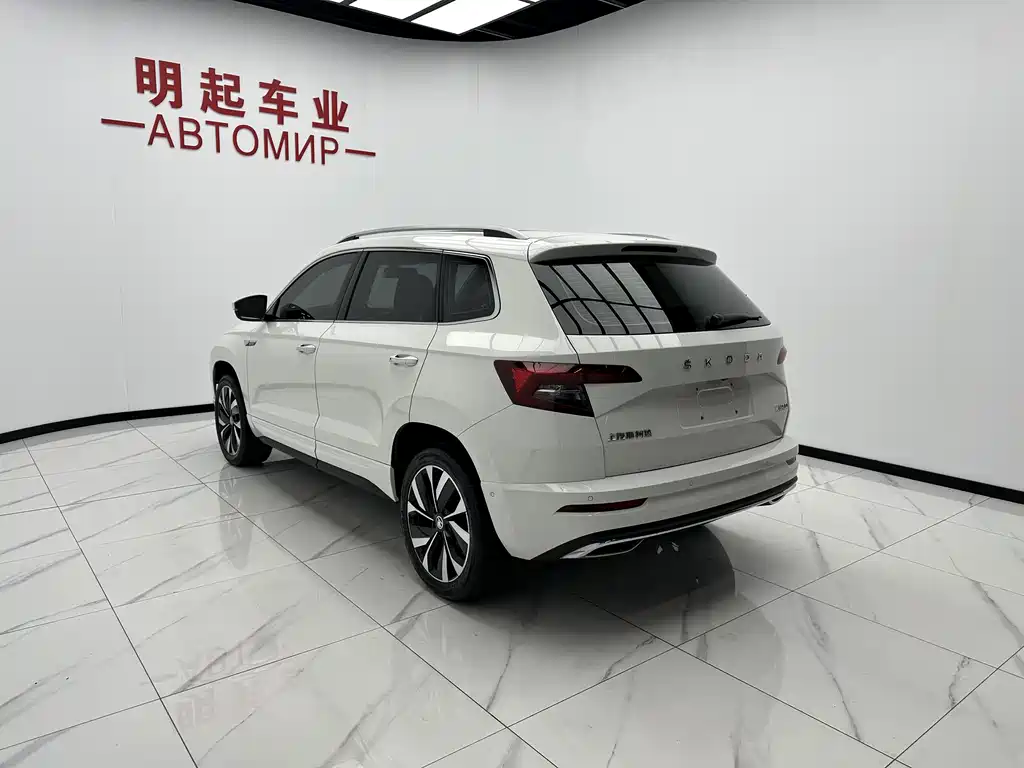 Skoda Karoq — фото 8