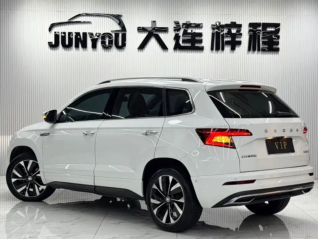Skoda Karoq — фото 6