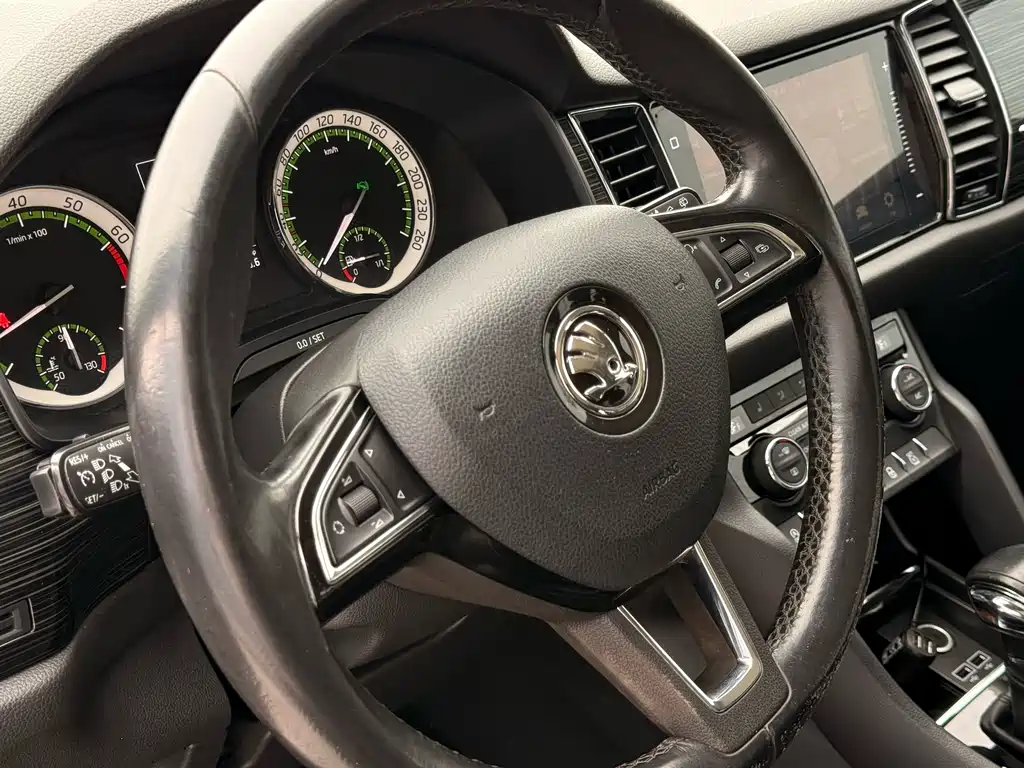 Skoda Kodiaq — фото 8