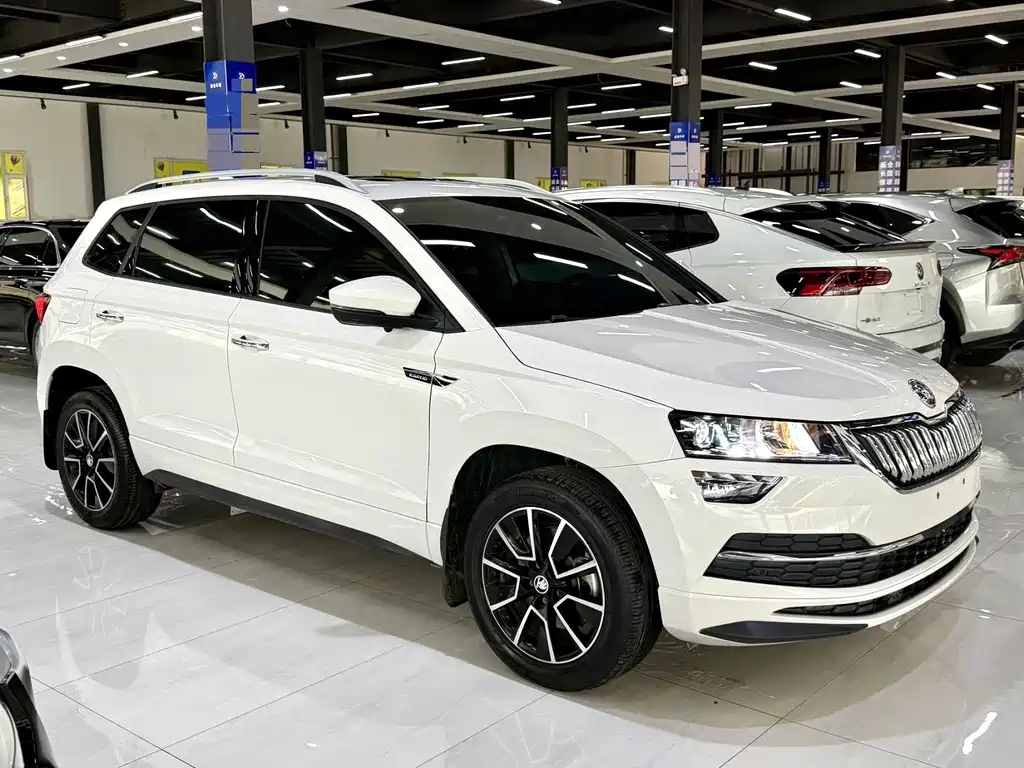 Skoda Karoq — фото 3