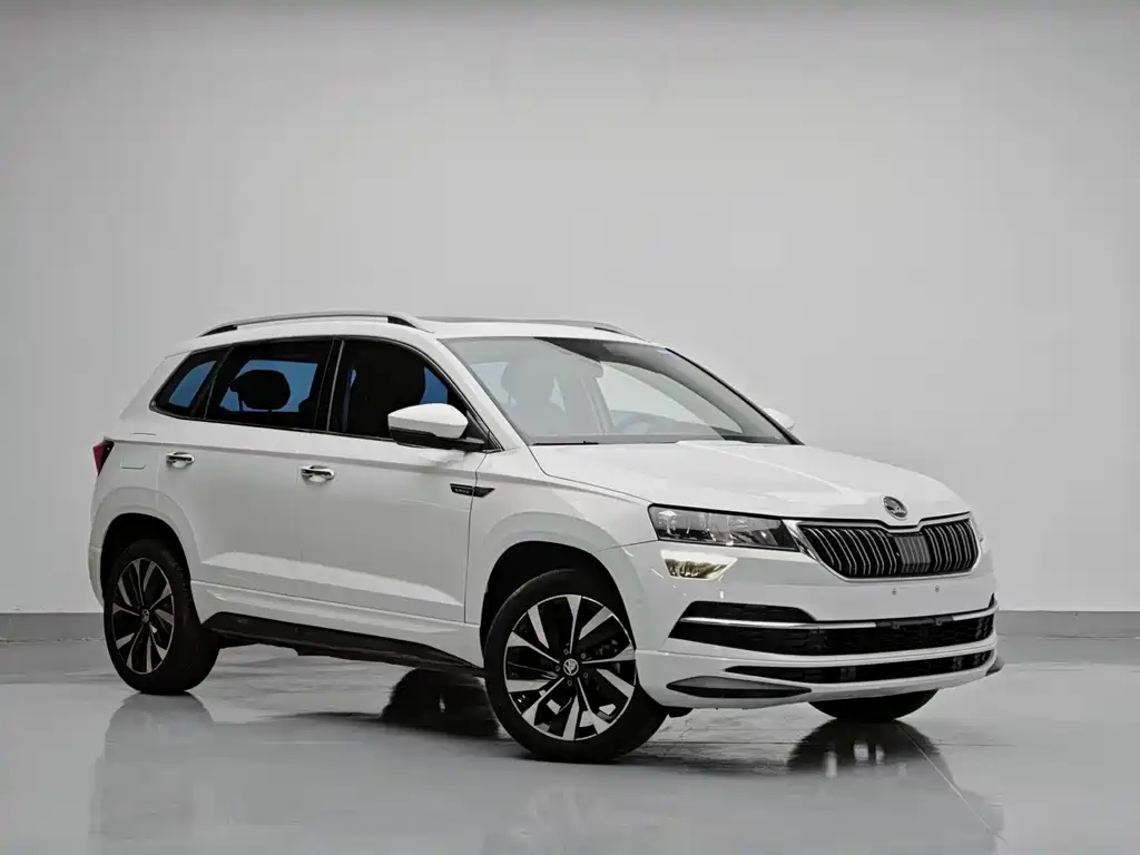 Skoda Karoq — фото 3