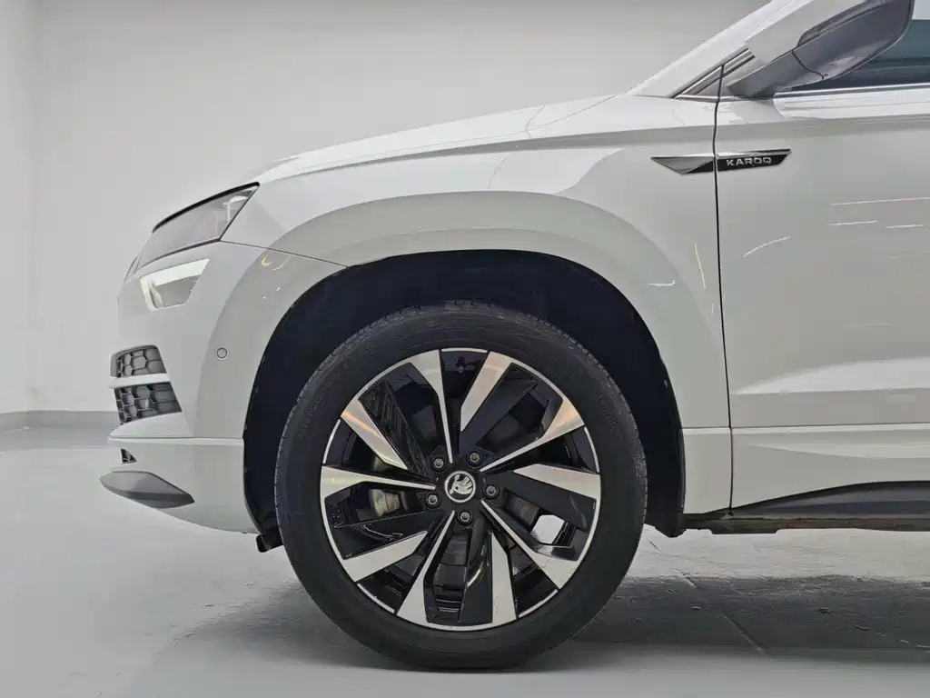 Skoda Karoq — фото 7