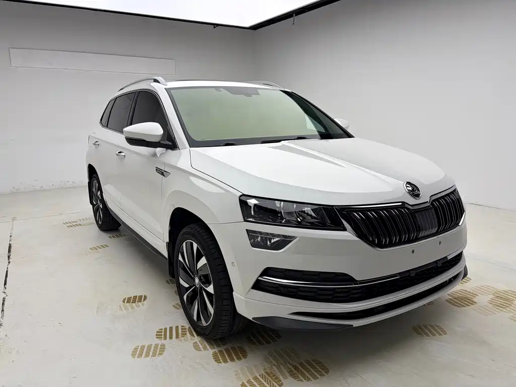 Skoda Karoq — фото 3