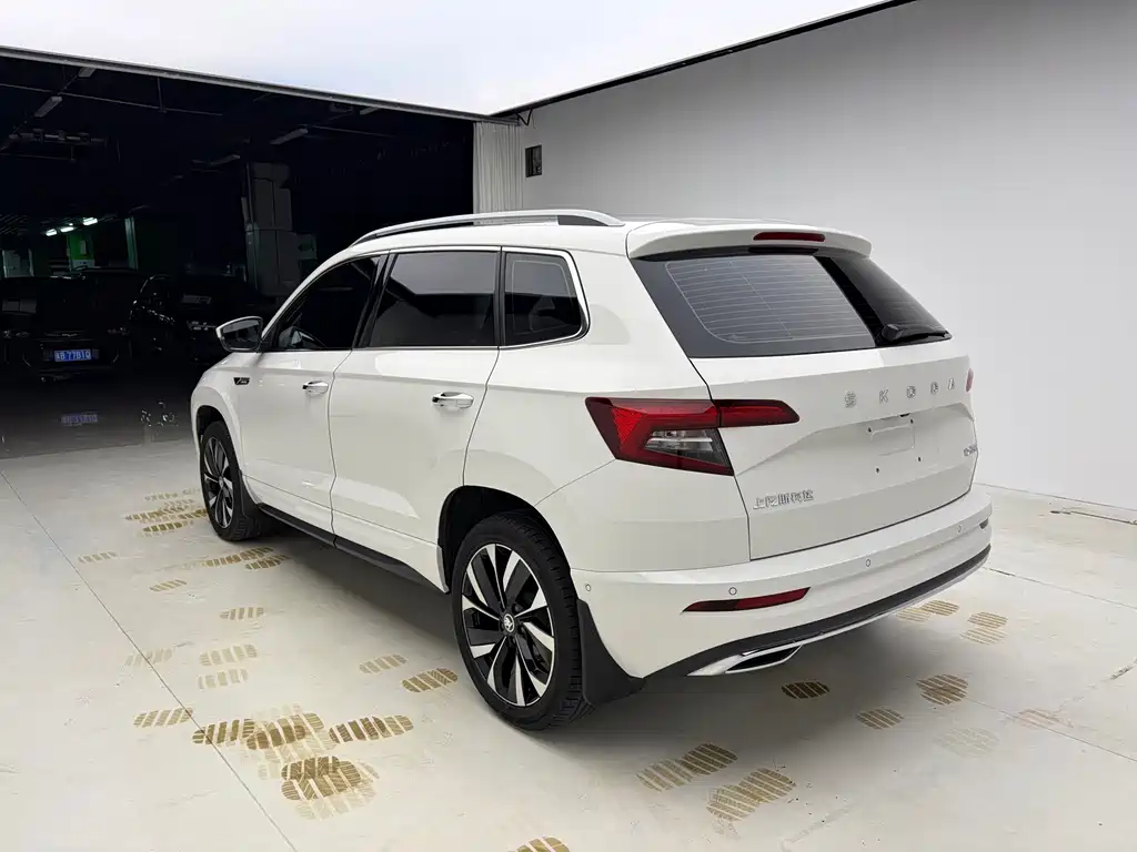 Skoda Karoq — фото 6
