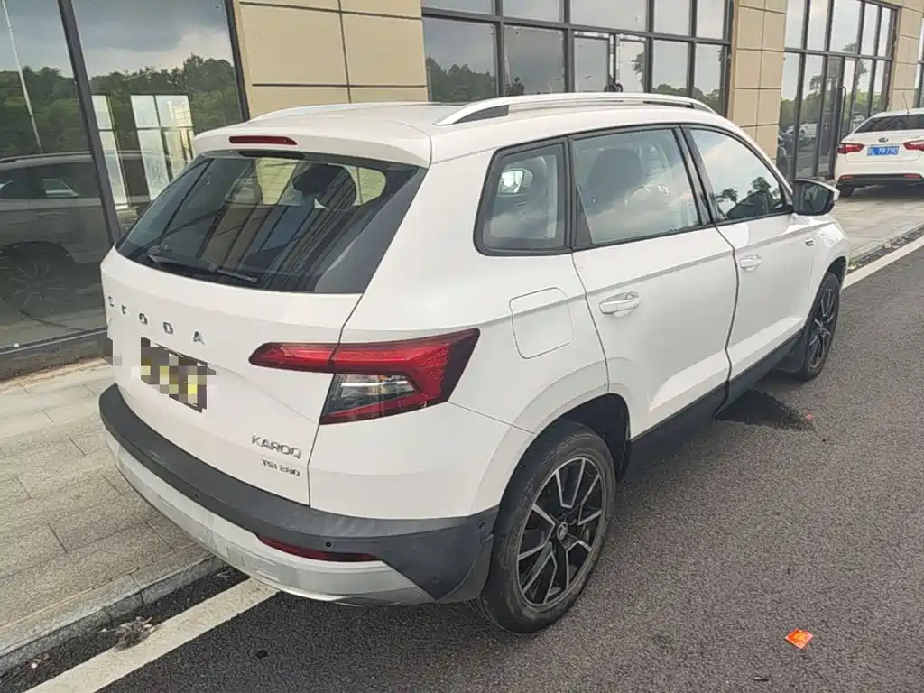 Skoda Karoq — фото 7