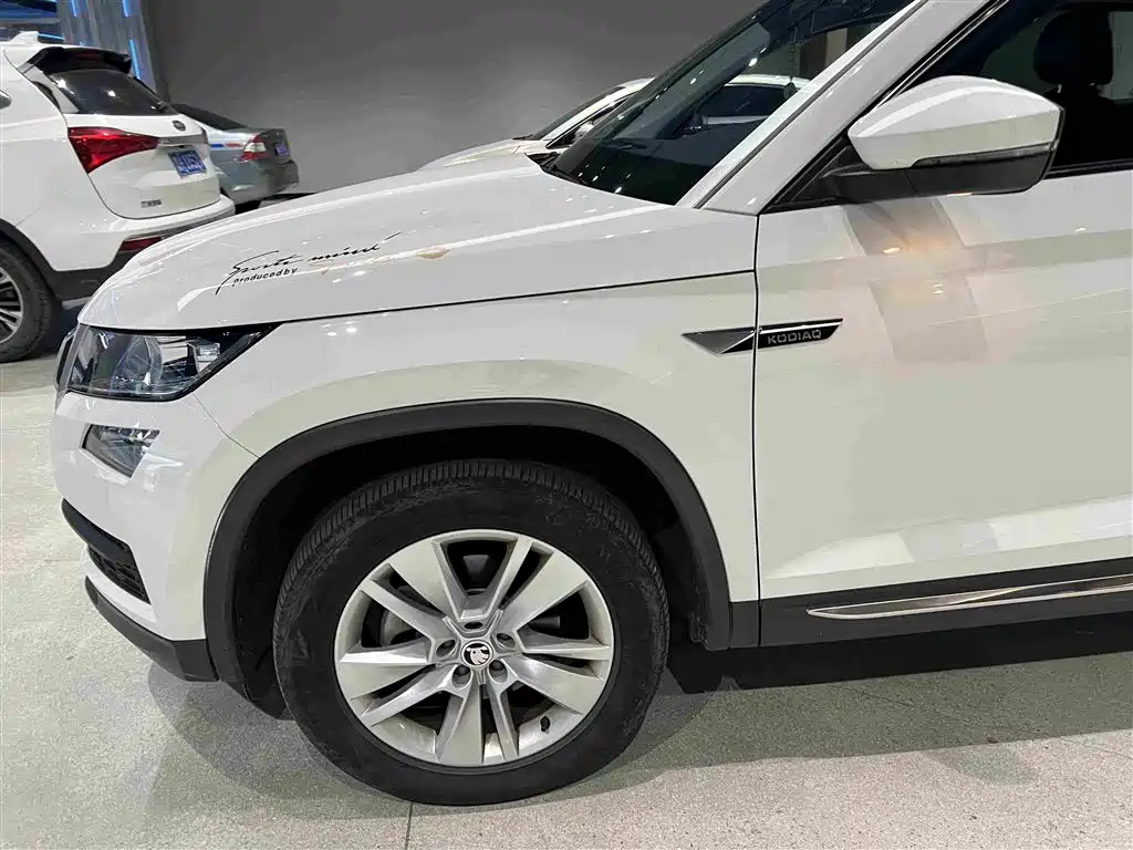Skoda Kodiaq — фото 6