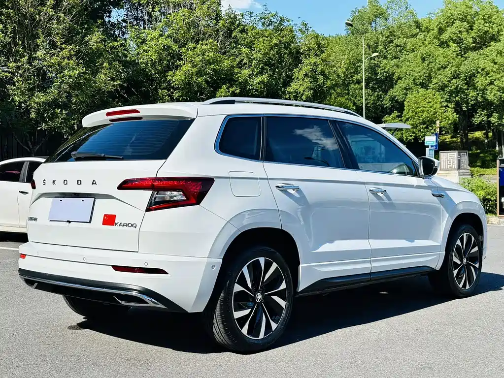 Skoda Karoq — фото 13