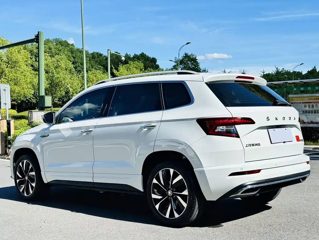 Skoda Karoq — фото 14