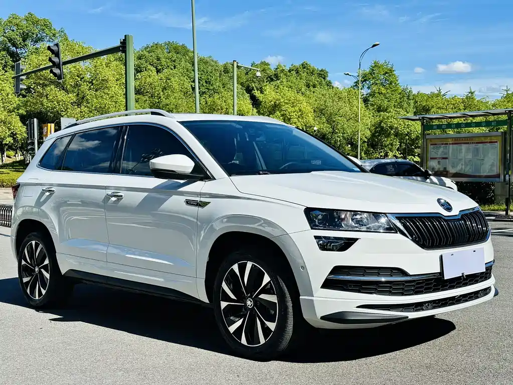 Skoda Karoq — фото 3