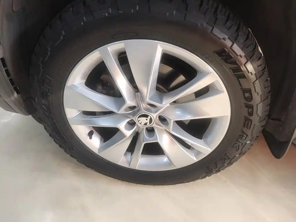 Skoda Kodiaq — фото 23