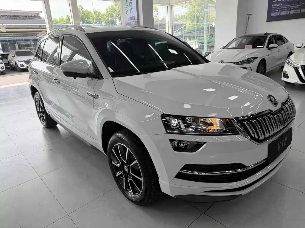 Skoda Karoq — фото 3