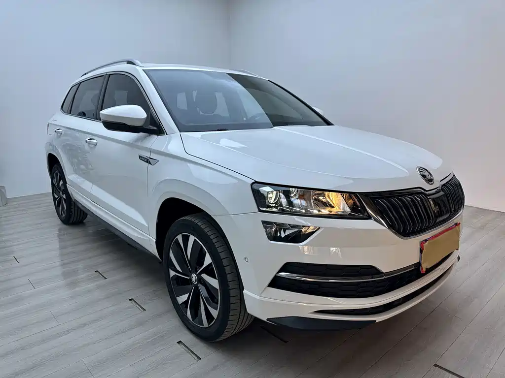 Skoda Karoq — фото 4