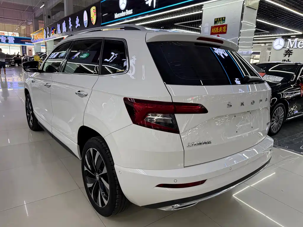 Skoda Karoq — фото 6