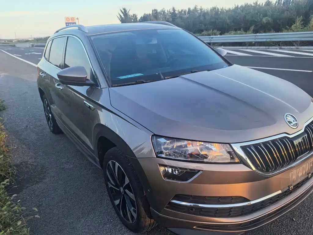 Skoda Karoq — фото 3