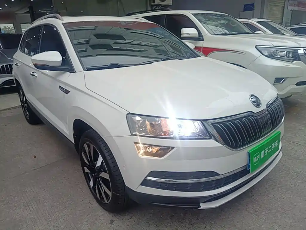 Skoda Karoq — фото 4