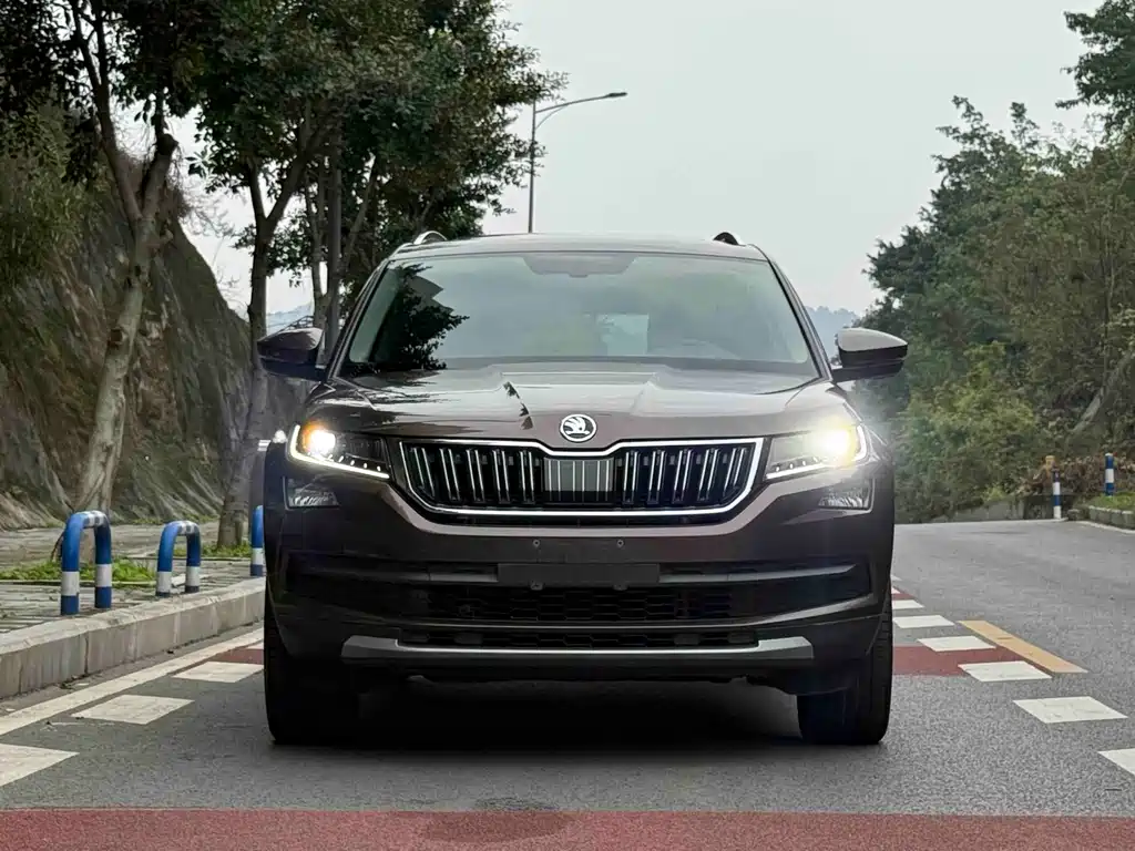 Skoda Kodiaq — фото 2