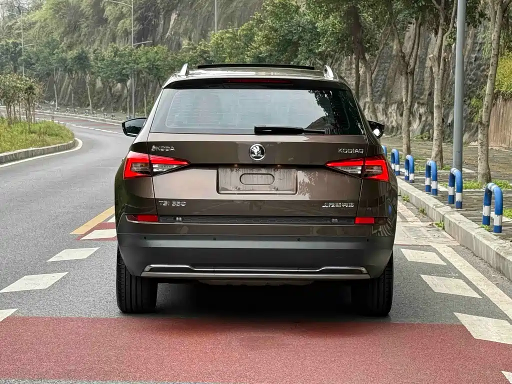 Skoda Kodiaq — фото 9