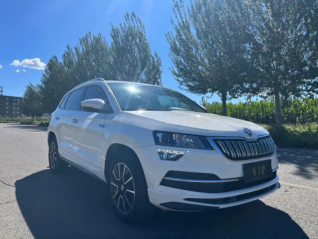 Skoda Karoq — фото 3