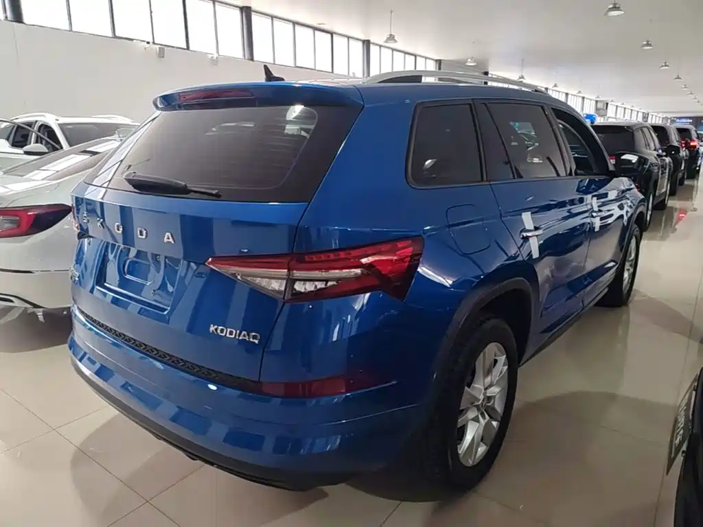 Skoda Kodiaq — фото 7