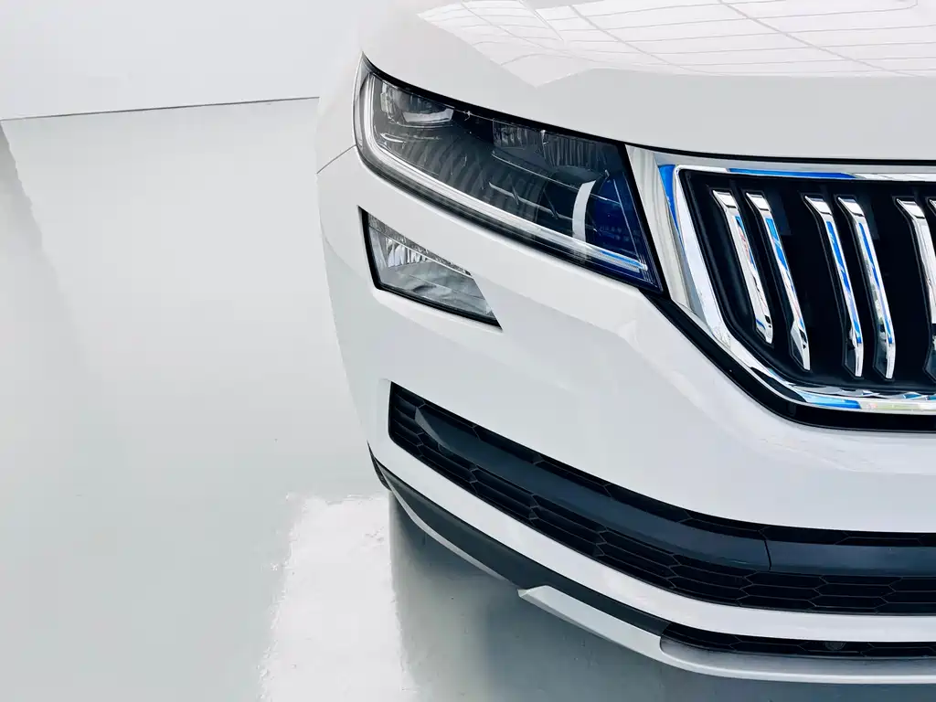 Skoda Kodiaq — фото 6
