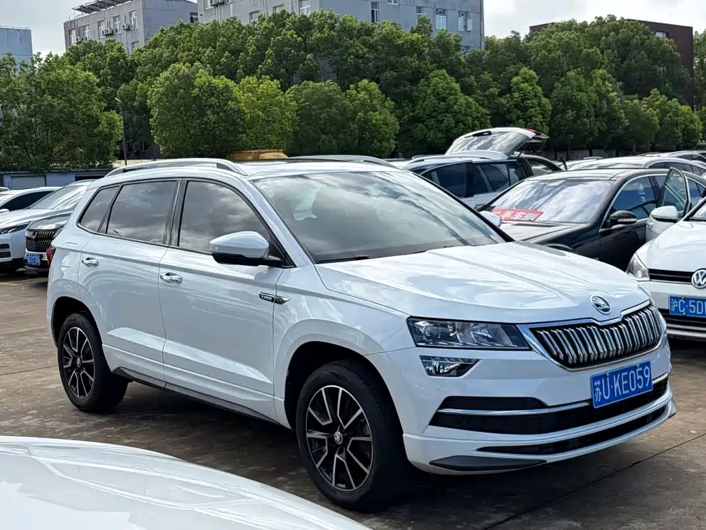 Skoda Karoq — фото 3