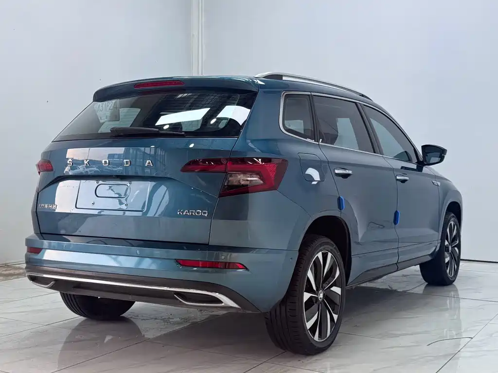 Skoda Karoq — фото 6