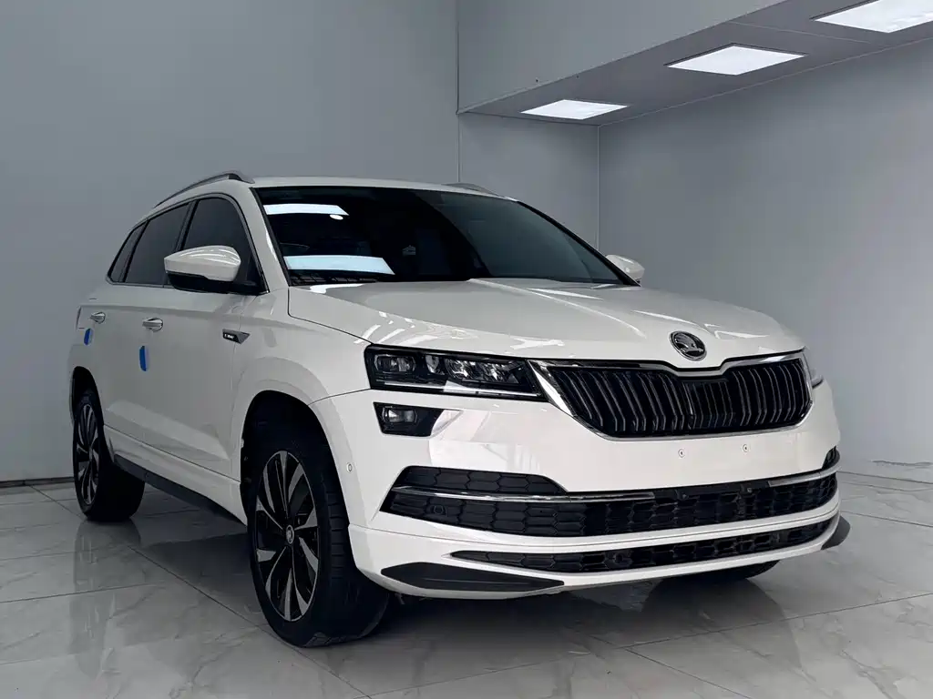 Skoda Karoq — фото 3