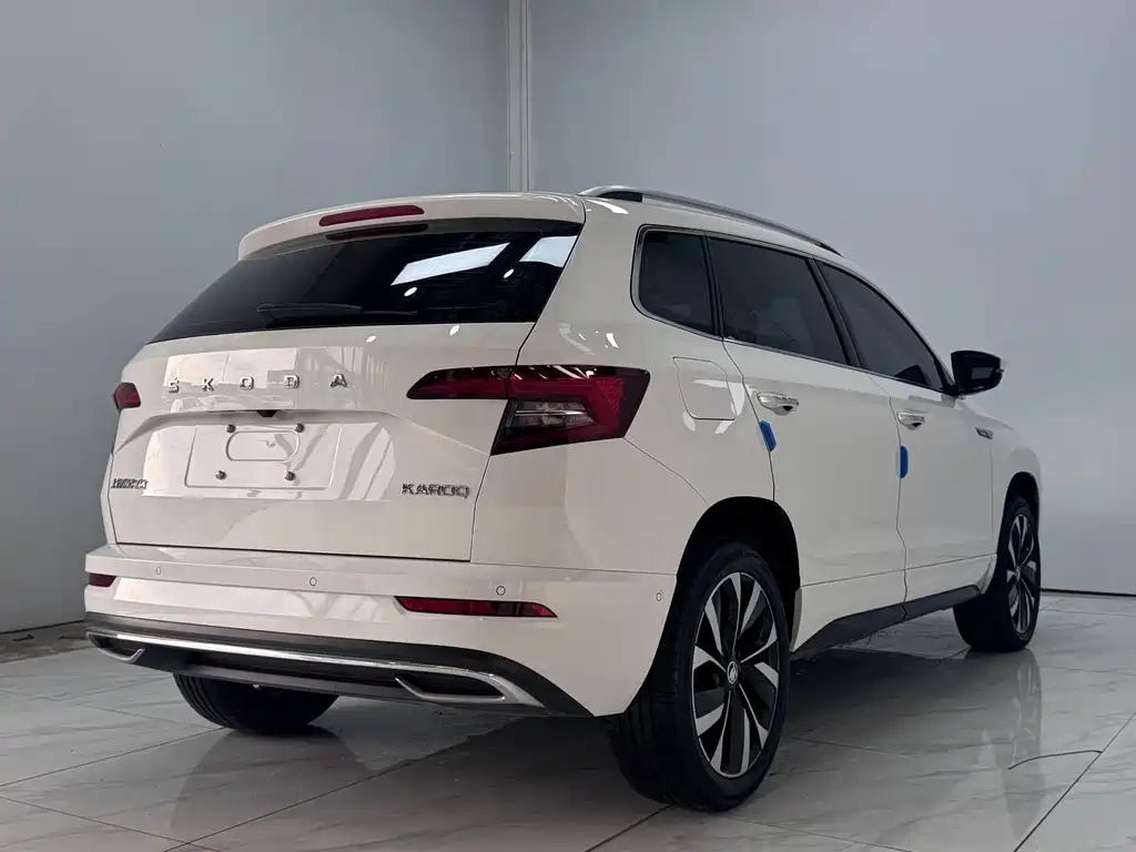 Skoda Karoq — фото 6