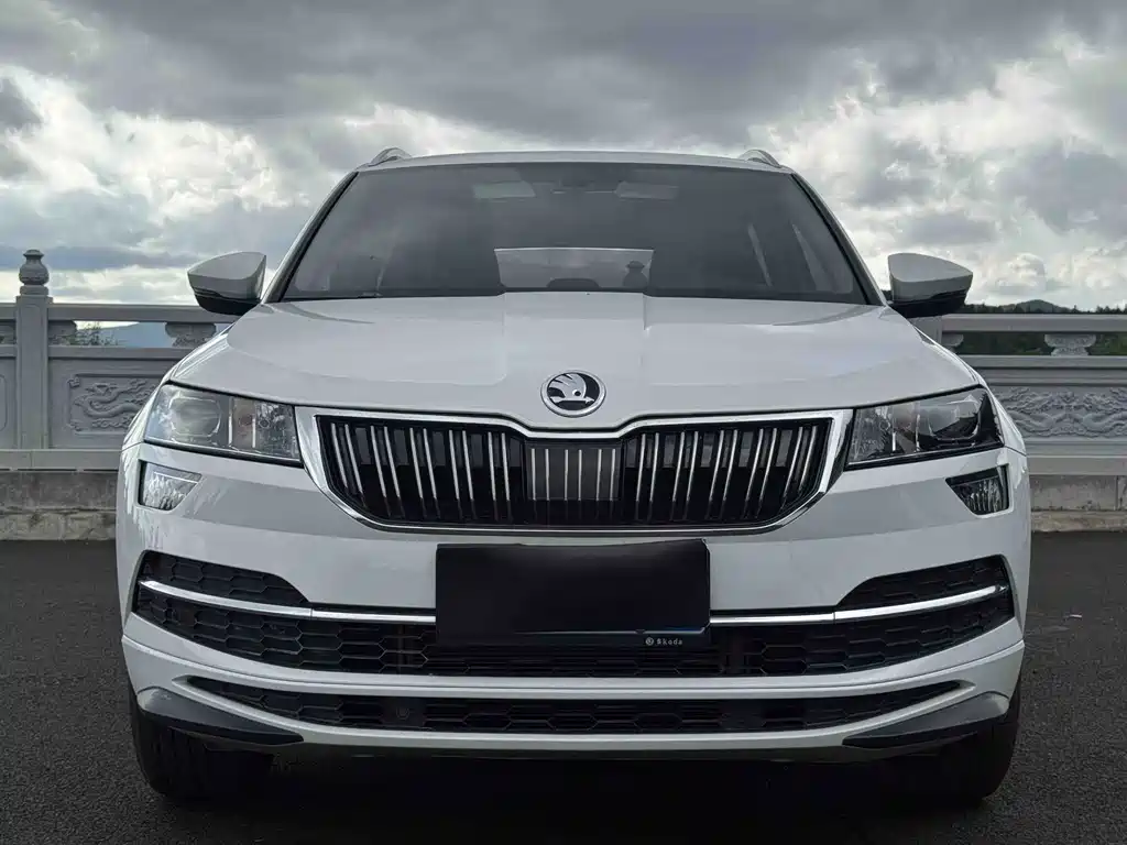 Skoda Karoq — фото 2