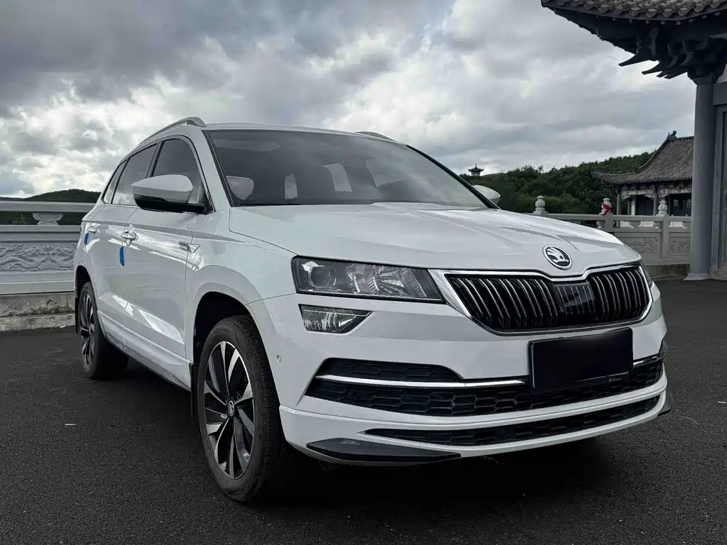 Skoda Karoq — фото 3